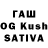 Галлюциногенные грибы GOLDEN TEACHER RGZ