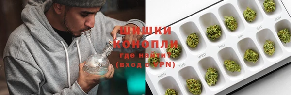 бошки Лагань