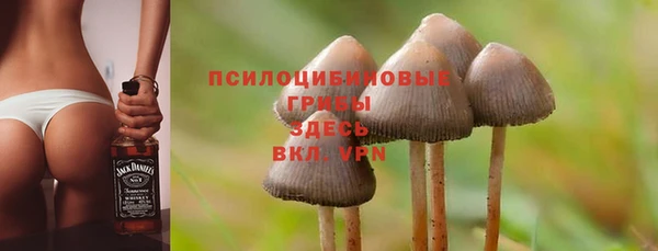 бошки Лагань