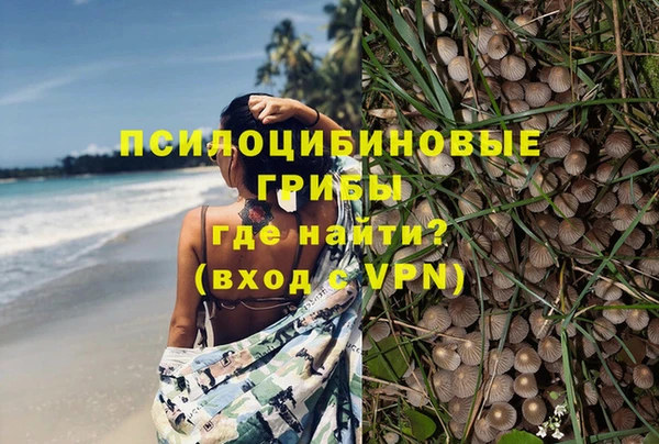 прущая мука Ладушкин