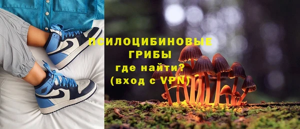 бошки Лагань