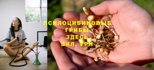 прущая мука Ладушкин
