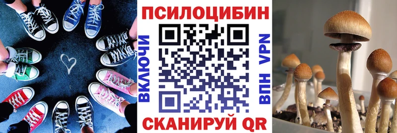 kraken вход  закладки  Юхнов  Галлюциногенные грибы Psilocybine cubensis 